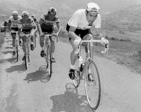 best road cyclists