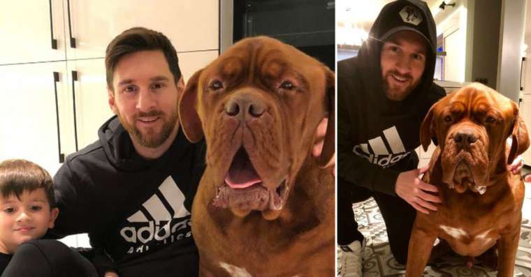 Top 10 Pro Athletes Who Love Animals