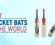 Top 10 Best Cricket Bats In The World