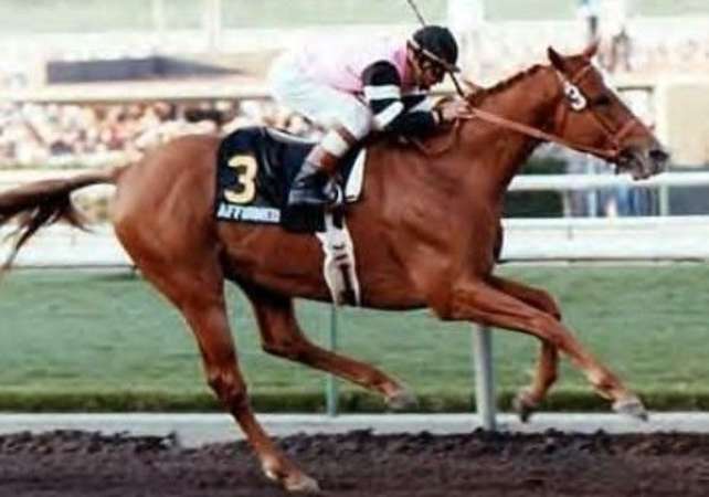 The 10 Best Racehorses Of All Time - Vrogue