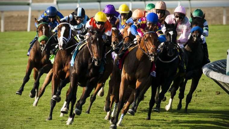 Why Do Indians Like Horse Racing So Much?