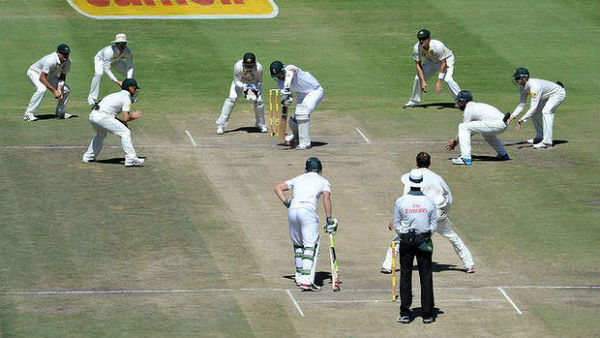Cricket