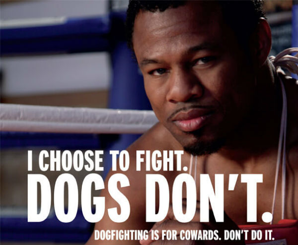 Shane Mosley